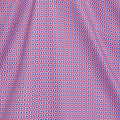 Semi-Spread Collar Polo Compass Crimson